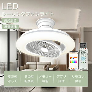 V[Ot@Cg LED  F ʒ Rt U t\t t]؂ւ V[OCg 8 14 16 V[OCg t@t DC[^[ @ GAR