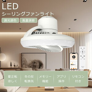 y݌Ɉ|Z[z V[Ot@Cg LED t@tV[OCg dc[^[ V[OCg t@t Ɩ V 6 8 ^ T[L[^[ 邢 Alexa/Google HomeΉ 