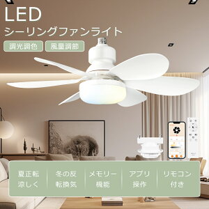 yNAXZ[z V[Ot@Cg LED F V[OCg t@t V[Ot@ Cg @tƖ V[Ot@Cg ^ T[L[^[ DC