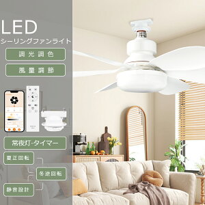 V[Ot@Cg LED F V[OCg t@t V[Ot@ Cg @tƖ V[Ot@Cg ^ T[L[^[ DC[^[ V[Ot@ 