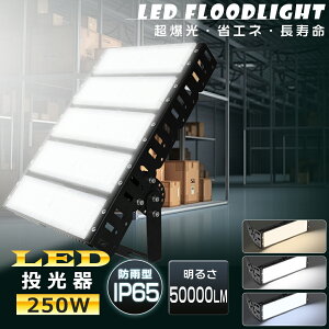  LED 250W ⓔ2500W LED  O LED 250W Ɠ LED 100V 200V LED @ LED dF F F 50000LM Lp120° IP65 h ho ȃGl Px VLEDƖ Ɠ Ŕ