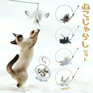 yubNtCf[880~ z lCD] L L炵 Zbg tC[  VRH  H C[^ L ˂ Lp yb