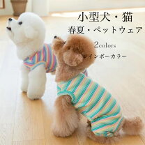 楽天市場】レインボー（ドッグウェア｜犬用品）：ペット・ペットグッズ 