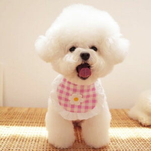 yz X^C L 悾ꂩ hbOEFA Gv LbgEFA ybgpi hbOX^C Rbg `FbN  XJ[t [X LbgX^C hbOANZT[ MK