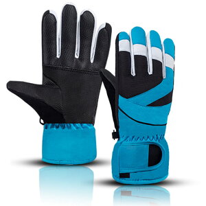 XL[O[u q Ԃ XL[ Xm[{[h  h ۉ N  LbY AEghA ܖ{w  jp WjA  h {A oR  j  O[ bh