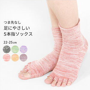 5{w\bNX wȂ ܐȂ \bNX C  ܖ{w  ANbg fB[X wȂ  Rbg VN ₦ ΍ I[vgD 킢   22cm 25