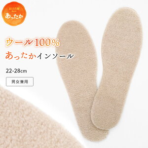 C\[  ~ E[100 {A   R hL ӂӂ ۉ jp fB[X Y ~ C g h ~ 22-28cm TCYڈ t[TCY K 2 Xj