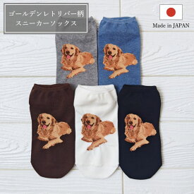 【選べる2足セット 送料無料】ゴールデンレトリバーショート丈ソックス レディース 靴下 綿混 日本製 1000円ポッキリ 愛犬 グッズ 雑貨 アニマル柄 かわいい 可愛い 犬 ショート 犬用品 くるぶしソックス ギフト プチギフト 夏用