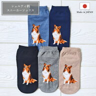 【7月10日販売開始！20日まで初回特典あり】シェルティ スニーカーソックス リンキング 奈良県産 レディ…