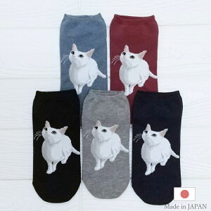 yIׂ2Zbg zL Xj[J[\bNX Iׂ Ԃ\bNX fB[X C ȍ { 1000~|bL ˂ L ObY fB[X Mtg v`Mtg