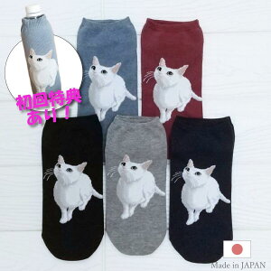 VLO1211܂łɂw̕SɔL{gJo[1Zbgɂv[gyIׂ3E5Zbg zL VlR Xj[J[\bNX Iׂ Ԃ 