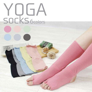 y݌ɕizׂ~ߕt K\bNX K C ܐȂ  K seBX ANJo[\bNX bOEH[}[ tBbglX  bNX fB[X \bNX C