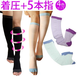 ZCgށI 5{wJ ̃EF[u҂ݒ}bT[W\bNXinC\bNXj (\bNX fB[XC ނ݉ ̂ނ 5{w ܖ{w GRm~[NXǌQ 