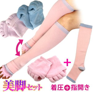 nC\bNX wJn[t\bNX@rŋZbgvXwJő̂ނ݃PA(C L w ܖ{w 5{w \bNX ނ݉ fB[X K\bNX O 