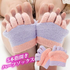 ӂwJ5{wn[t\bNXssǂ𑦉I Ŗ( ObY C ̂ނ݉   fB[X ܖ{w\bNX K\bNX seBX zbg