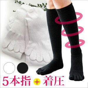 5{wnC\bNX 2Zbg5{w\bNX zCg C fB[X\bNX nC\bNX(\bNX C   ܖ{w\bNX w\bNX ܖ{w  O