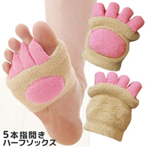 ӂwJ 5{w n[t\bNX }bT[Wtނ݉I Ŗ( C c{  fB[X ܖ{w\bNX K\bNX seBX zbgK O