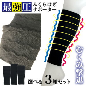 3gZbg ӂ͂T|[^[ \bNX T|[^[ ނ݉  Dw AX[g EH[LOEv[g jpObY }^jeB GRm~[NXǌQ e 