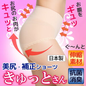 KV[c Ƃ񕝍Lu͕҂݂łKXbL qbvAbv(  ₦  Ci[ K[h ␳  Mtg) ȍ { RۏLV[c