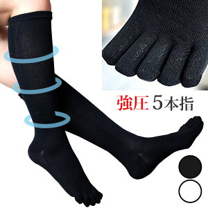 5{wnC\bNX ȍ^Cv5{w\bNX  ubN  zCgC fB[X \bNX (\bNX C   ̓  ܖ{w  eXgbLO 