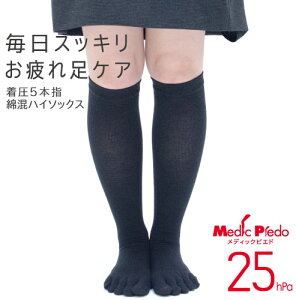 y2܂Ń[֔z Ђ߁I  5{w ȍnC\bNX25hPa Je ێH ܖ{w fBbNsGh Kg LegStyle bOX^C MP-HS104