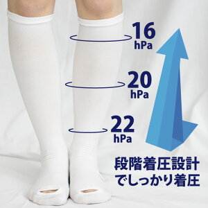 y2܂Ń[֔zʈË@ fBbNsGh j^[z[ nC\bNX iK   C ނ h~ bOX^C Kg PA LegStyle ނ 