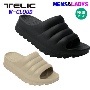 ���艿����40���I�t�I��TELIC �e���b�NW CLOUD �_�u���N���E�h ���J�o���[�T���_��2025�NSS���f���y���{�㗝�X���i�z�T�C�Y�����Г��������� W-CLOUD