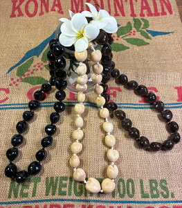 NNCC NNCibcC ubN NNCCuE NNCibc C nCA nCA lbNX@kukui  ubN  uE t_X t ANZT[ t 