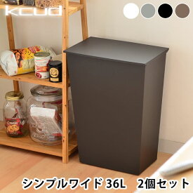 【2個セット】 クード ゴミ箱 kcud シンプル ワイド SIMPLE WIDE おしゃれ ふた付き 分別 ワイド 横型 キッチン 岩谷マテリアル アッシュコンセプト 北欧 45リットル ゴミ袋対応 キャスター