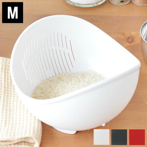  {E 炭`{E  MTCY b`F Richell HΉ p{E ؂肴 Lb`{E  {E  Lb`  ĂƂ ֗O