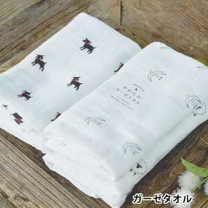 K[[^I ANVX 炩K[[^I M M { g K[[ xr[ 100 킢  oYj Mtg tFCX^I  r