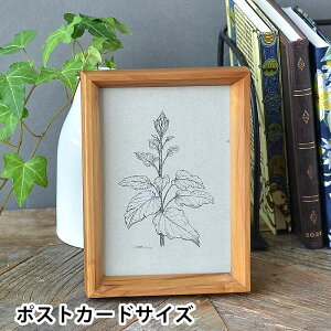 y111̓|Cgő10{ՁIztHgt[ `[Nt[ |XgJ[h |XgJ[hTCY  ؐ Ǌ| AeB[N u ʐ^ 킢 ʐ^ Vv X^