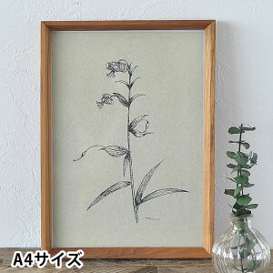 y115̓|Cgő10{ՁIztHgt[ `[Nt[ A4 A4TCY  ؐ Ǌ| AeB[N u ʐ^ 킢 ʐ^ Vv X^h ؖ k v[