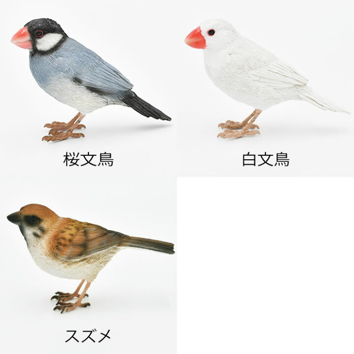 楽天市場 Black Friday P最大26倍 文鳥 スズメ 置物 Birdle Bill バーディ ビル クリップホルダー すずめ スズメ 文鳥 ジャバスパロー リアル おしゃれ 小鳥 かわいい 置物 オブジェ 桜文鳥 白文鳥 北欧 ギフト プレゼント クリップ メッセージ 玄関 リビング