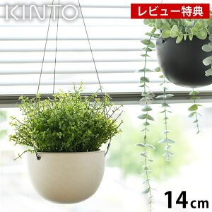 ハンギング 観葉植物 鉢の人気商品 通販 価格比較 価格 Com