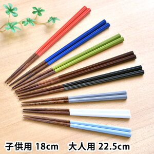 p  qp18cm/lp22.5cm TCt  H@Ή ͂  Jg[ { n`JNgETC p^ ~ eq  jp VR Vv ₷ H q