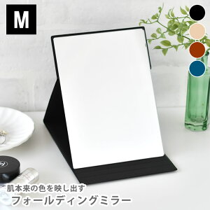 NAPURE isA tH[fBO~[ M ~[  ~[ RpNg X ܂肽 Vv D~[ px v[g Mtg 킢 {  horiuchi mirror u