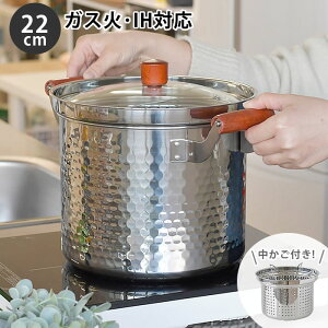 y111̓|Cgő10{ՁIzpX^  XeX XeX   XeX  Wt 22cm t KXR IHΉ 傫 pX^|bg [^ pX^   䥂ł 