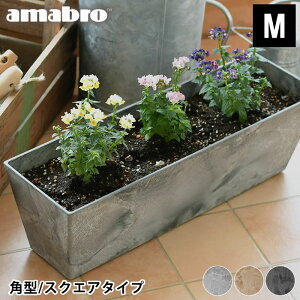 y95̓|Cgő10{ՁIzv^[ amabro A[gXg[ Rei XNGA MTCY p^ ART STONE CONTAINER SQUARE  ` Aؔ ^ A  K[fjO  O A}