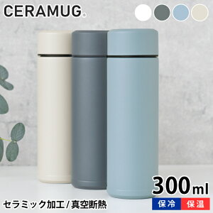 y920̓|Cgő10{ՁIz}O{g  300ml Z}O ^fM ۉ ۗ MB-10S   Z~bNH XeX d\  }C{g Mtg v[g V