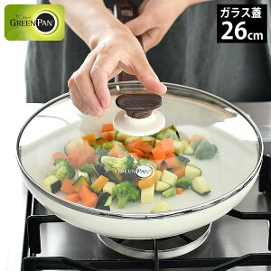 y121̓|Cgő10{ՁIzO[p GREEN PAN KXW 26cm Ebhr[ IHΉ KXΑΉ zCg SS lC  