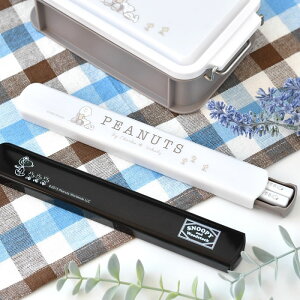 I[GXP[ Xk[s[ ubN s[ibc t^Zbg  ٓ   XCh zCg ͂ 19.5cm  H@Ή  H@ Zbg { ` R  q