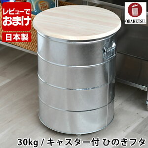 yr[TtzĂт OBAKETSU IoPc CXXgbJ[ 30kg LX^[t Ђ̂t^ yʃJbvt ۑe CX{bNX ybgt[h LX^[ { 킢 XgbJ[ 