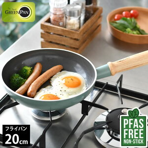 y910̓|Cgő10{ՁIztCp 20cm GREENPAN O[p tCp 20cm Ct[ O[p tCp 20cm ؐ M` ȒP łtȂ A~ KX 