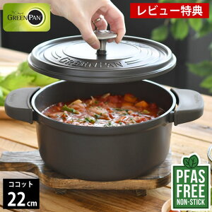 yr[Ttz  22cm GREENPAN O[p RRbgEh 22cm |bgz_[ 2t O[ tFU[EFCg O[p  KX ih M`  Lb`  IHΉ I