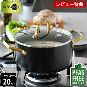 y1125̓|Cgő10{ՁIzyr[Ttz  20cm GREENPAN O[p LZ[ 20cm KXWt XgDfBI O[p  LZ[ tbfHȂ M` 