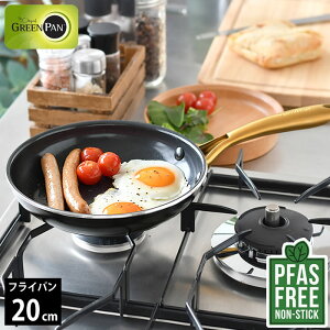 tCp ih GREENPAN O[p tCp 20cm XgDfBI O[p tCp Mtg IH 20cm PFAS FREE tbfHȂ _CAh Z~bN ubN IHΉ mXeBbN M