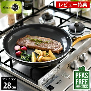 yr[Ttz tCp 28cm ih GREENPAN O[p tCp 28cm XgDfBI O[p tCp tbfHȂ 28cm S _CAh Mtg  M` ubN 