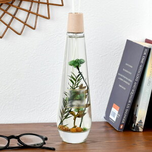 y1125̓|Cgő10{ՁIz F {^jJ n[oE fBt[U[ 300ml A} [hfBt[U[ KX hCt[  [Y LNZC zCgeB[ 