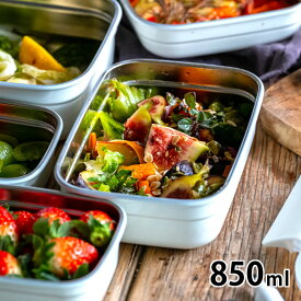 保存容器 密閉 お弁当箱 男子 ステンレス製 保存容器 850ml 密封 保存 容器 弁当箱 男子 大容量 軽量 食洗機対応 食品保存 0.85L シンプル おしゃれ 持ち運び 冷蔵 冷凍 MEAL BOX オーブン レンジ対応 密閉容器 調理器具 漏れにくい